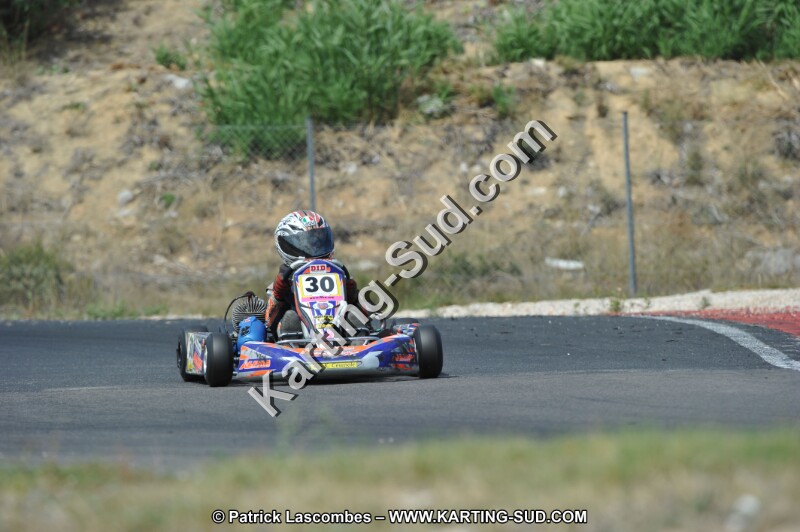 DSC (3127).JPG